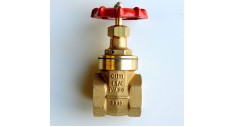 Brass gate valve screwed bsp BS5154 